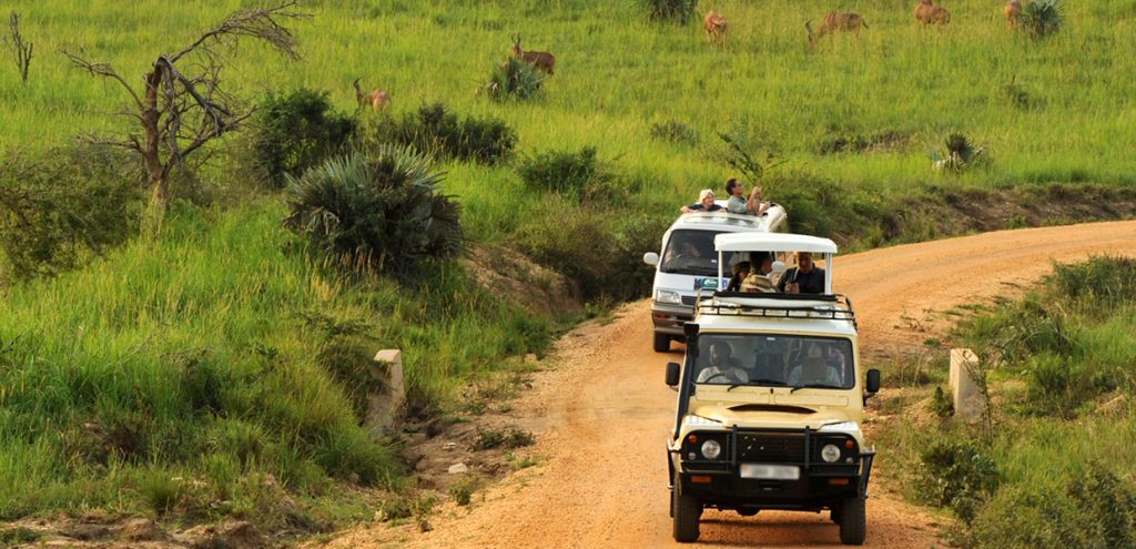 Best 4x4 Cars for Uganda Safaris