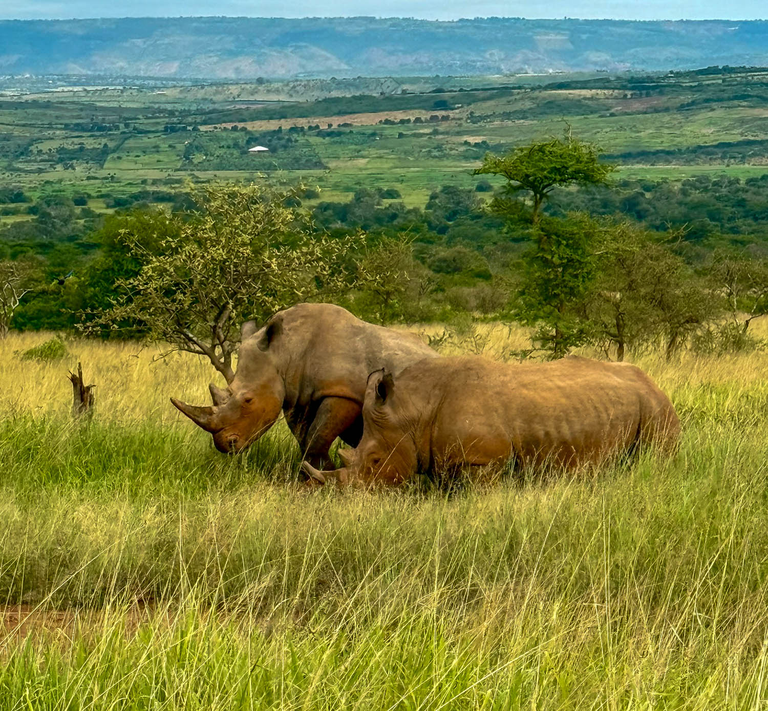 Akagera National Park tourism destination
