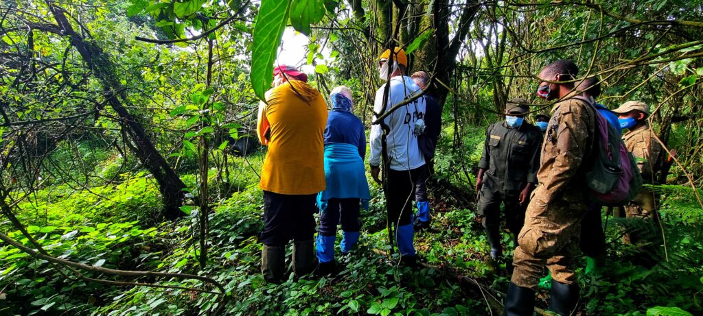 Guided forest walk experience in Kibale