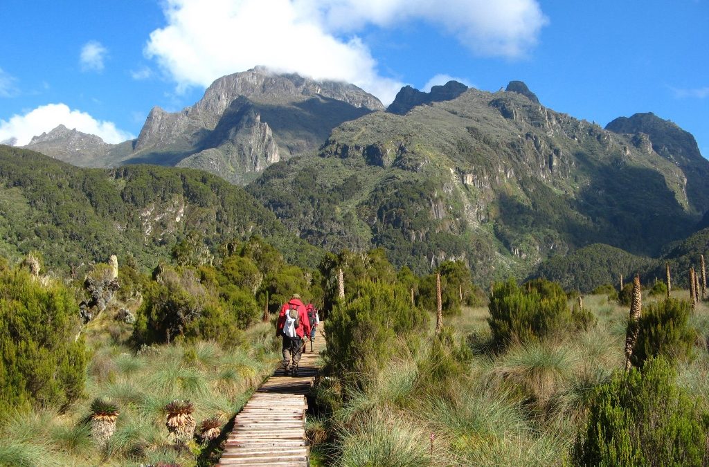 5 Days Mount Elgon Climbing