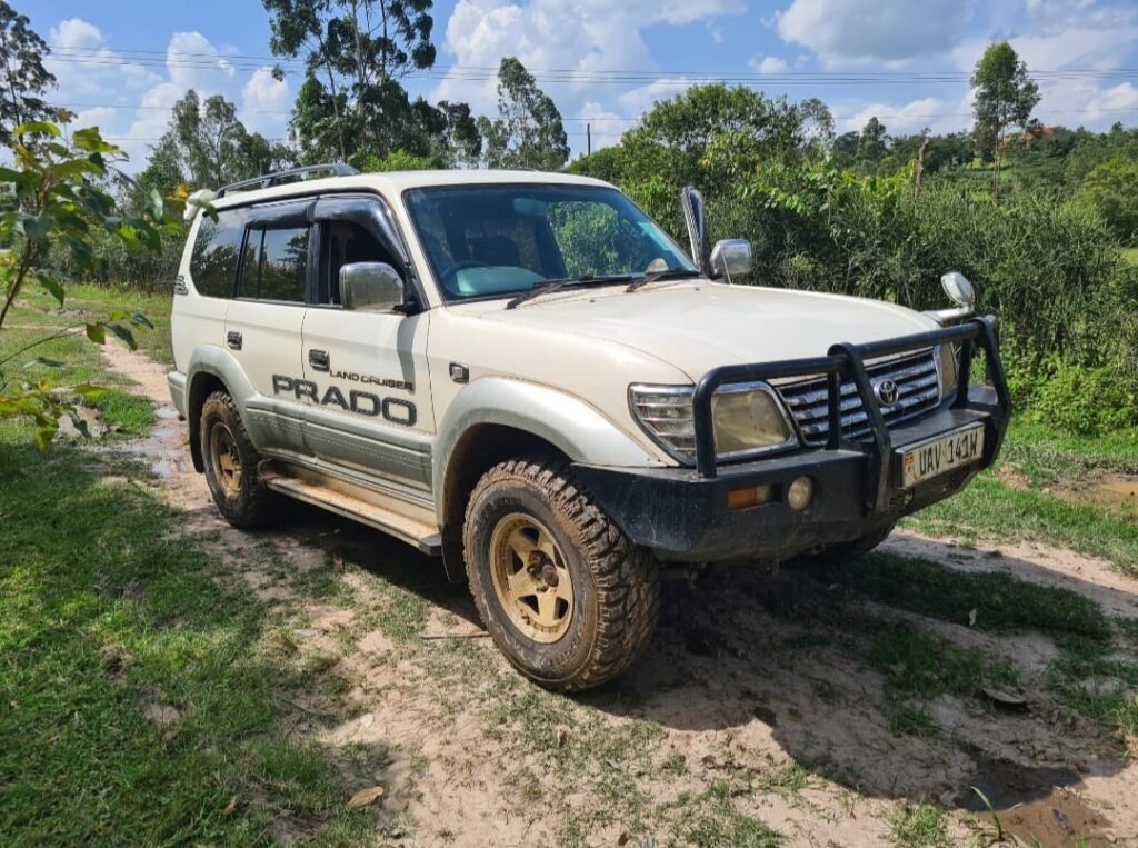 Land Cruiser Prado hire Uganda gorilla trekking
