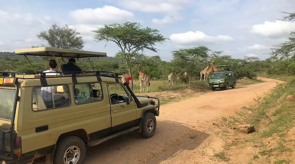 Uganda car rental guide