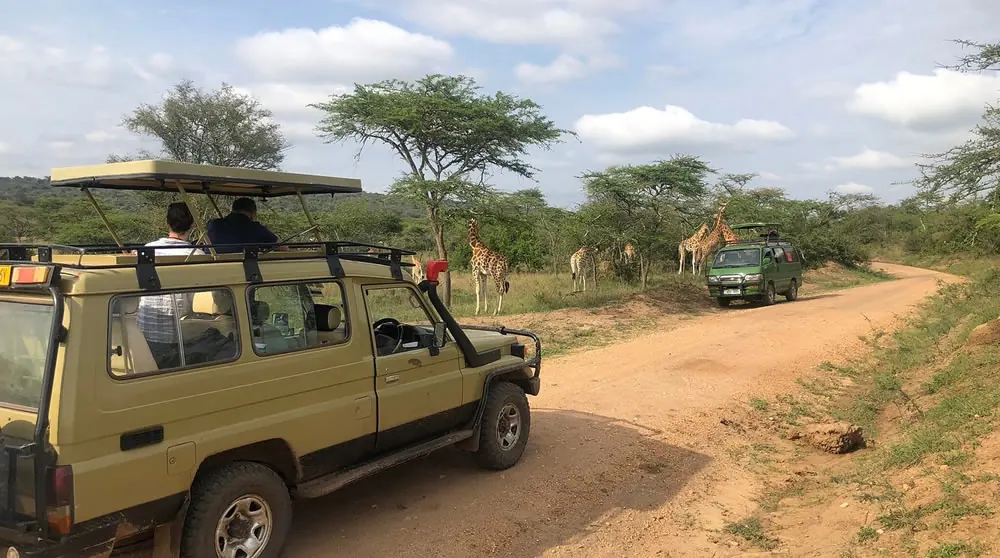 Uganda safari car rental on Lake Mburo and national park route