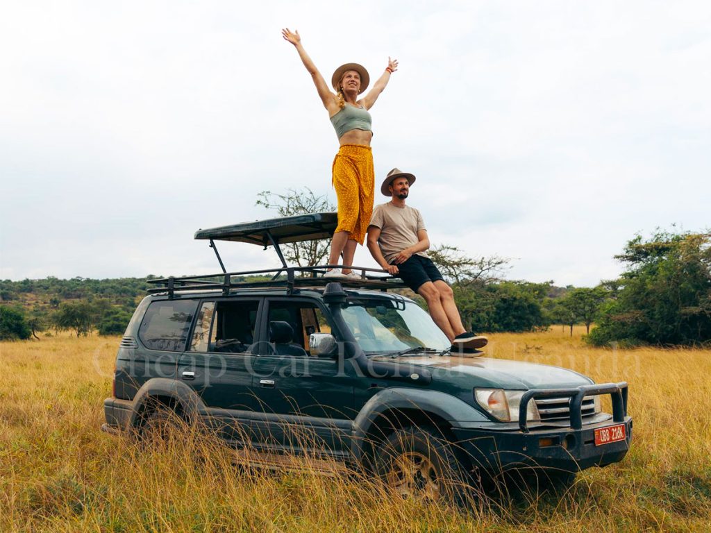Self-Drive Car Rental