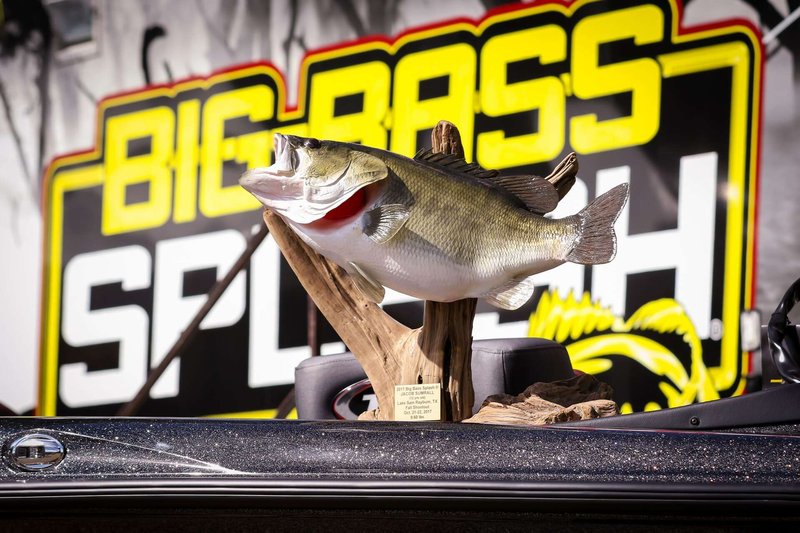 Image: Big Bass Splash Demo - Erfolgreiches Slot-Spiel von Pragmatic Play